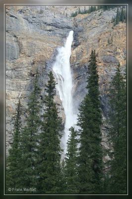 Takakkaw Falls - Yoho Nationalpark
