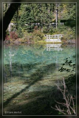 Olive Lake
