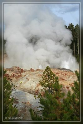 Steamboat Geyser
