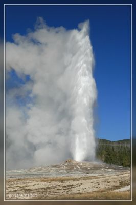 Old Faithful
