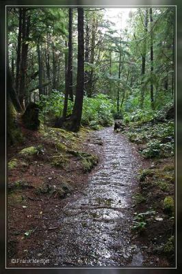 Trail zum Second Beach

