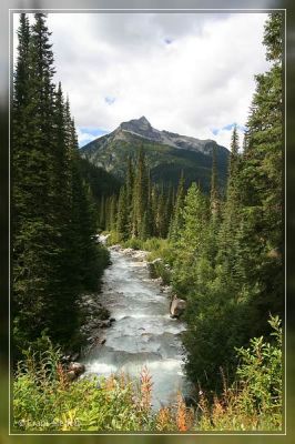 Asulkan Valley Trail

