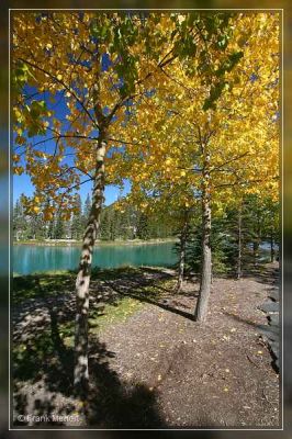 Banff
