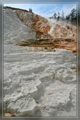 Mammoth Hot Springs

