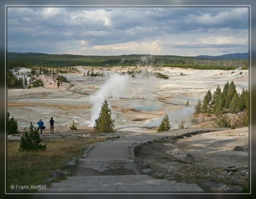 Norris Geyser Basin
