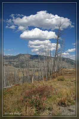 Yellowstone Nationalpark
