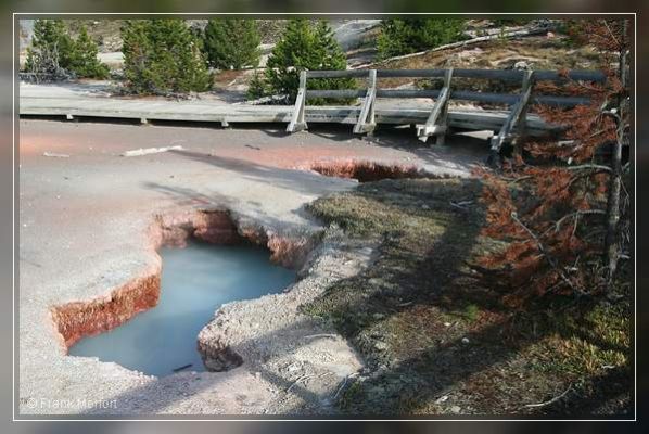 Artists Paintpots
