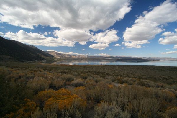 Mono Lake
Schlüsselwörter: Mono Lake