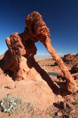 Elephant Rock
Elephant Rock im Valley of Fire in Nevada.
Schlüsselwörter: Elephant Rock Valley of Fire Nevada