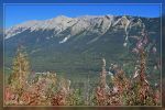 Kootenay Valley Viewpoint