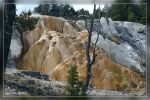 Mammoth Hot Springs