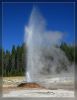 Pink Cone Geyser