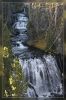 Kepler Cascades