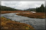 Bei den Lewis Falls