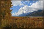 Jackson Lake