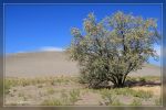 Bruneau Dunes State Park