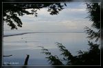 Dungeness Bay