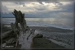 30D_IMG_2900.jpg