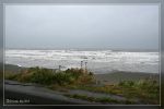Kalaloch