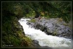 Salmon Cascades