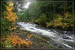 Salmon Cascades