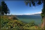 Stanley Park - Vancouver