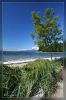 Stanley Park - Vancouver
