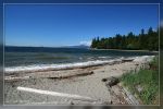 Stanley Park - Vancouver