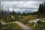 Meadows in the Sky Trail