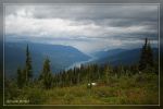 Meadows in the Sky Trail