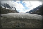 Athabasca Glacier - Jasper Nationalpark