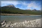 Sunwapta River - Jasper Nationalpark