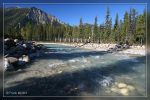350D_IMG_8218.jpg