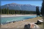 350D_IMG_8275.jpg