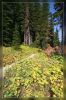 350D_IMG_8370.jpg