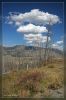 Yellowstone Nationalpark