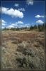 Yellowstone Nationalpark