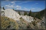 Yellowstone Nationalpark