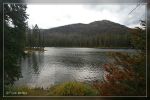 Sylvan Lake