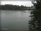 Oyster Bay - Bremerton