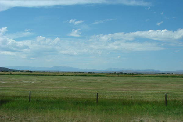 2308e.jpg