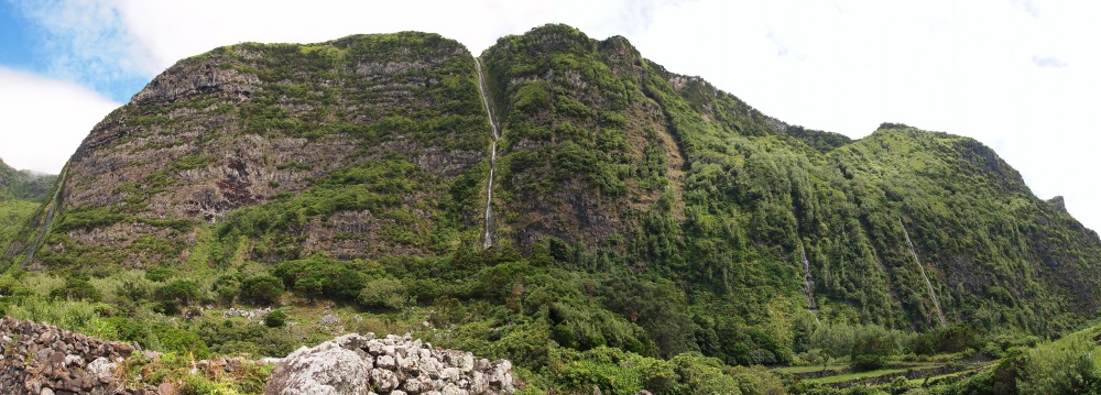 Flores26.jpg