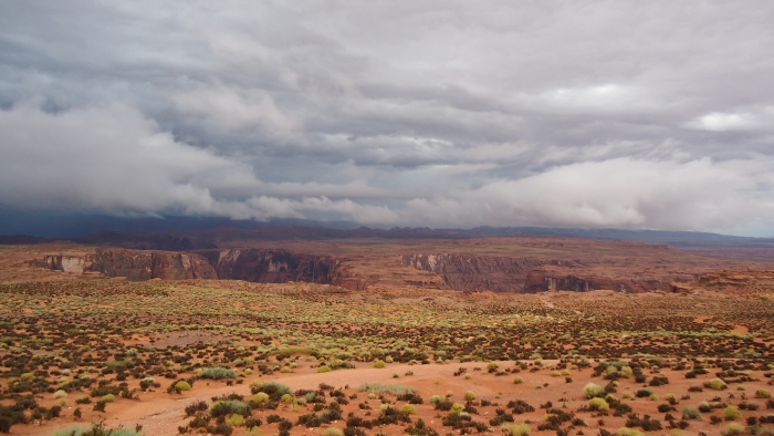 USA_0210_6_5.jpg