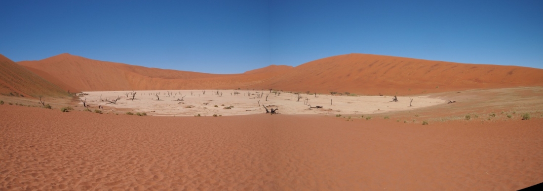 Vlei1.jpg