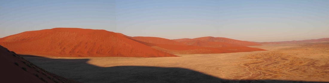 Vlei2.jpg
