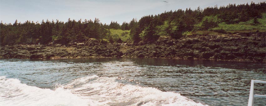 brier_island6.jpg