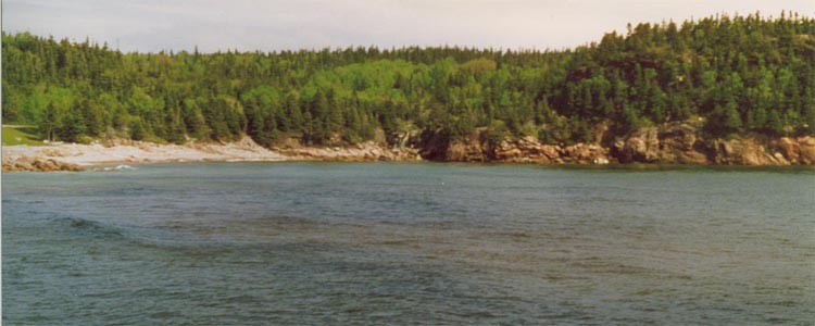 cape_breton11.jpg