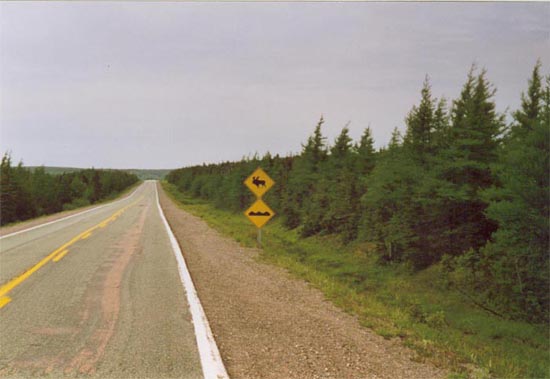 cape_breton22.jpg
