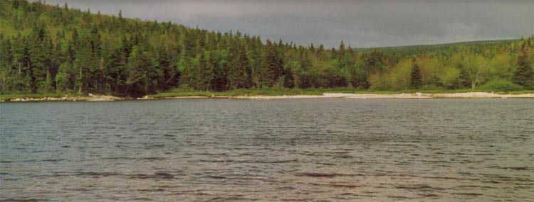 cape_breton24.jpg