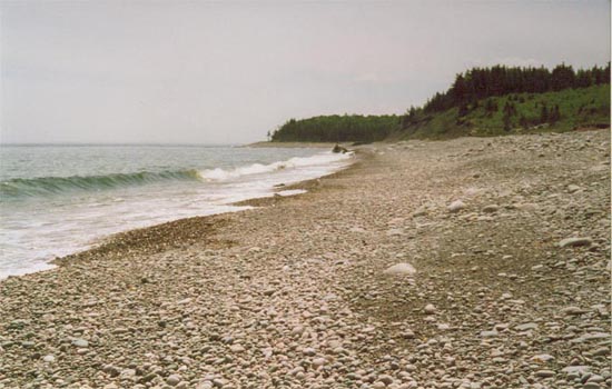 cape_breton25.jpg